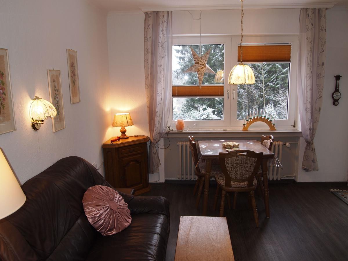 Ferienwohnung Schueler-Wolke 2 Sankt-Andreasberg Extérieur photo